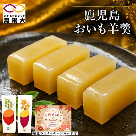 【1等最大100%ポイントバックキャンペーン】鹿児島おいも羊羹 紅はるか 安納芋 さつまいも 契約栽培 贈り物 ギフト ご自宅用 お試し 焼き芋 焼芋 ようかん 芋ようかん 焼き芋ようかん 鹿児島県産 おいものおいしさ無限大 鹿児島 指宿 西大山駅 御中元