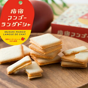 wh}S[OhV 10 1cs30 ᑗ ܂Ƃߔ whY}S[gp wh}S[uh   XC[c OhV NbL[ `R[g 퉷 