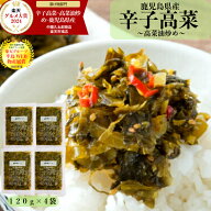 【楽天グルメ大賞 2024】【楽天グループ半島WEB物産展賞】辛子高菜 高菜油炒め 鹿児島県産 120g×4袋 (48…