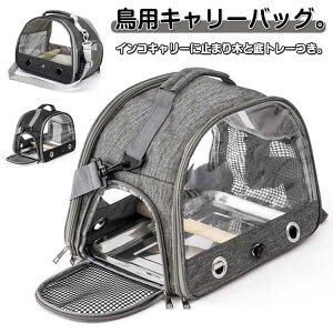 g[t o[hP[W CR ybgL[ UP[W o t L[obO ʋC  IE pL[obO ybg nX^[  gxP[W s 