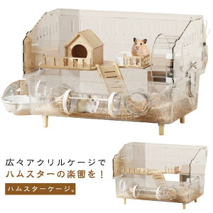 SʃNA nX^[P[W ^ AN P[W nX^[P[W Ή S[fnX^[ Eh~ ȒP  L 45×30×33cm ʋCǍD gݗĊȒP 