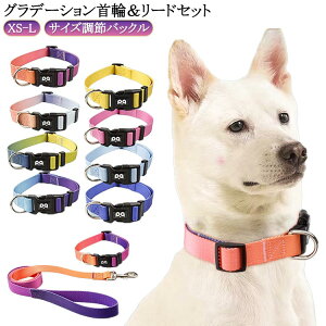 ^  ^ 킢 [hZbg ^  킢 Up Of[V  ^  ^ [h ɂȂ L  XS S M L