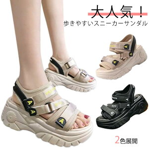 Cxg 6cmq[ AEghA T_ tbg  傫TCY ₷ T_ AEghA  fB[X Ȃ l r 6cm  sy ₷ X|T