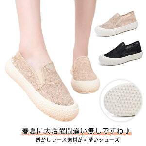 [X ؂ 킢  l ʋC fB[X r ꂢ y  ۂ JWAV[Y y Ȃ y v[g i[XV[Y wlC t E