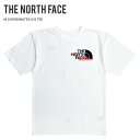 【割引クーポン配布中】 THE NORTH FACE (ノースフェイス) Tシャツ COORDINATES S/S TEE 半袖 カットソー トップス メンズ S-XL ホワイト NF0A5GES 【単品購入の場合はメール便発送】【RCP】【バーゲン】