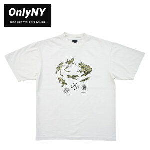 �y�����N�[�|���z�z���z ONLY NY (�I�����[�j���[���[�N) T�V���c FROG LIFE CYCLE S/S T-SHIRT ���� �J�b�g�\�[ �g�b�v�X �����Y S-XL �i�`������ �y�P�i�w���̏ꍇ�̓��[���֔����z�y�o�[�Q���z