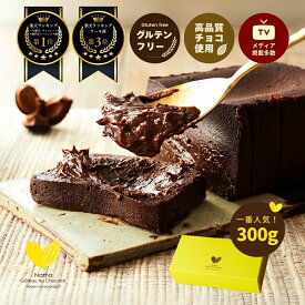 [楽天ランキング1位獲得] 生 ガトーショコラ 300g 極上の口溶け 濃厚 ショコラ テリーヌ スイーツ チョコレート ケーキ グルテンフリー チョコ 生チョコ ギフト プレゼント 誕生日 クリスマス 冬ギフト 歳暮 ナマガトーショコラ お取り寄せ