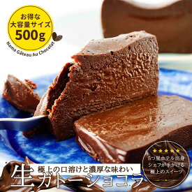 【500gサイズ】極上の口溶け 生 ガトーショコラ 母の日 高級 濃厚 送料無料 人気 ショコラテリーヌ チョコテリーヌ チョコレートケーキ グルテンフリー サステナブル エシカル スイーツ ギフト 生チョコ チョコレート チョコ スイーツ ケーキ 誕生日 御祝 内祝 入学祝い