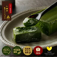 【母の日早割10％OFFクーポン】「幸せの"生" ガトーショコラ MATCHA」抹茶 300g 母の日 春ギフト 極上の…