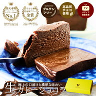楽天1位 極上の口溶け 生 ガトーショコラ 450g 濃厚 グルテンフリー 高級 人気 ショコラ テリーヌ 敬老の…