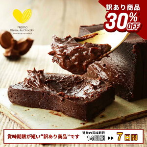 【訳あり商品 | 20%OFF】人気 極上の口溶け 生ガトーショコラ 300g 濃厚 送料無料 高級 濃密 5つ星 グルテンフリー ギフト プレゼント ガトーショコラ 生チョコ チョコレート チョコレートケー