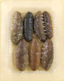 楽天市場 生 ナマコの通販