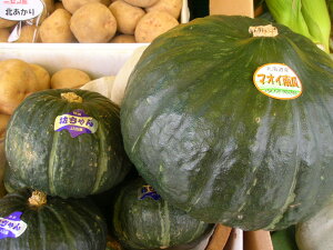 ݖkCY݂₱ڂIڂ悩ڂYn͂CGiʖ1.2kg1ʊ֐200~A֓Ȗk500~