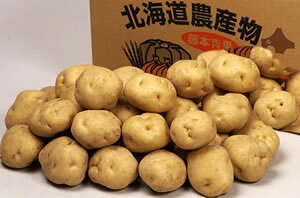 ݏGizNzNkCY^EXcnō̂܂ႪjLTCŶ10Kg60֐200~A֓Ȗk500~