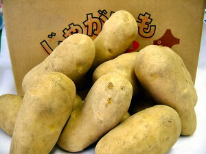 ݍōzNzN̂ႪkC\Y@[NCLTCŶ10Kg@60֐200~A֓Ȗk500~