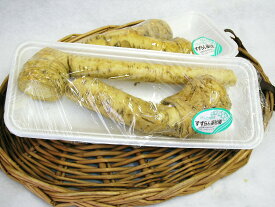 今話題の薬味！北海道産山わさび　約100g前後