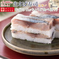 [マラソンP2倍]海鮮 ギフト 鯖寿司 寿司 [冷蔵]極上 福井の昆布〆生さば寿司　届いたその日が旬の味わい[…