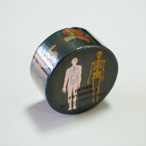 X^fB[zbN STUDY HOLIC@}XLOe[v (lސw)@ST-202 gray DF O[ 20mm ā[ }Xe HUMAN PHYSIOLOGY l  ] x S   l̖͌^  O[tbV GreenFlash