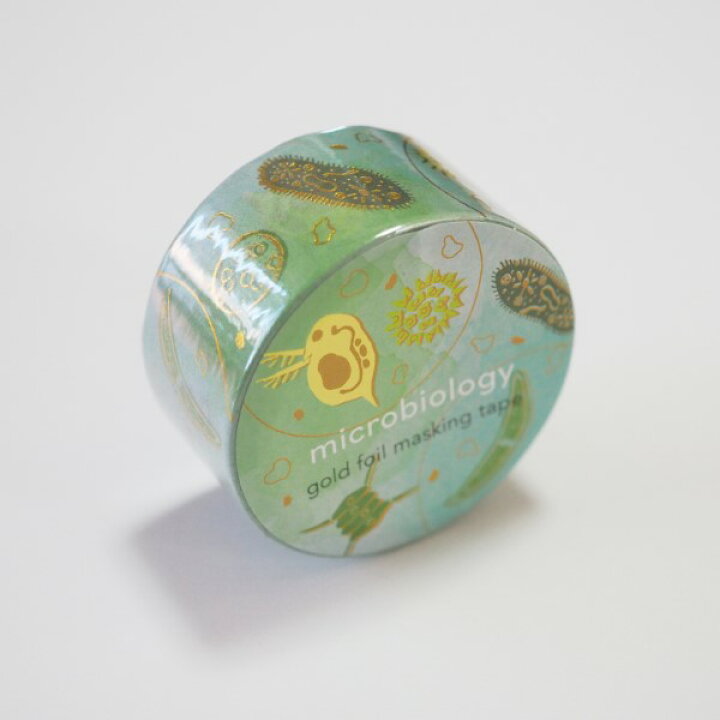 楽天市場 スタディーホリック Study Holic 金箔マスキングテープ 微生物学 St 1 Green 緑色 グリーン 幅mm てーぷ マステ Microbiology ミジンコ ミドリムシ ゾウリムシ ボルボックス ミカヅキモ 顕微鏡 グリーンフラッシュ Greenflash メール便可 なまあず 楽天市場 スタディーホリック Study Holic 金箔マスキングテープ 微生物学 St 1 Green 緑色 グリーン 幅mm てーぷ マステ Microbiology ミジンコ ミドリムシ ゾウリムシ ボルボックス ミカヅキモ 顕微鏡 グリーンフラッシュ Greenflash メール便可 なまあず