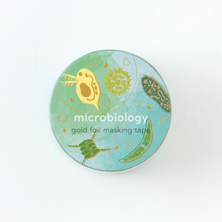 楽天市場 スタディーホリック Study Holic 金箔マスキングテープ 微生物学 St 1 Green 緑色 グリーン 幅mm てーぷ マステ Microbiology ミジンコ ミドリムシ ゾウリムシ ボルボックス ミカヅキモ 顕微鏡 グリーンフラッシュ Greenflash メール便可 なまあず 楽天市場 スタディーホリック Study Holic 金箔マスキングテープ 微生物学 St 1 Green 緑色 グリーン 幅mm てーぷ マステ Microbiology ミジンコ ミドリムシ ゾウリムシ ボルボックス ミカヅキモ 顕微鏡 グリーンフラッシュ Greenflash メール便可 なまあず