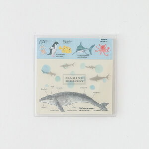 X^fB[zbN STUDY HOLIC NAJo[t ST-176 (Cmw) MARINE BIOLOGY t ӂ yM NQ E~K T ^R AUV NW nRtO w wK   {  wZ 