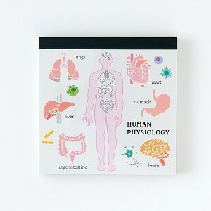 X^fB[zbN STUDY HOLIC@pbhEXNGA ST-164 (lސw)  ߂ 邢Ԃ w HUMAN PHYSIOLOGY  { l  ] x S   w d {@O[t