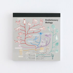 X^fBzbN STUDY HOLIC pbhEXNGA ST-305 (iw)  ߂ 񂩂Ԃ JuA A   lނ̐i w   {  wZ d evolutionary biolog