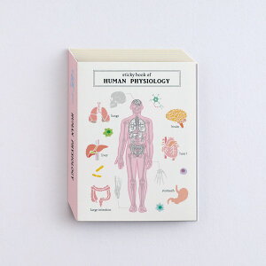 X^fBzbN STUDY HOLIC XeBbL[ubN ST-316 (lސw) HUMAN PHYSIOLOGY t ӂ l  ] x S    XJ n   {  wZ d X^fB[ O[tb