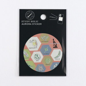 X^fBzbN STUDY HOLIC I[XebJ[ ST-355 [w]  microbiology ~WR ~hV ]EV {{bNX ~JdL  n  w Aurora sticker ϐ ό X^