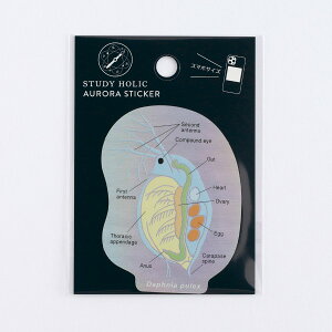X^fBzbN STUDY HOLIC I[XebJ[ ST-356 [w/~WR]  microbiology ~hV ]EV {{bNX ~JdL  n  w Aurora sticker ϐ ό X^