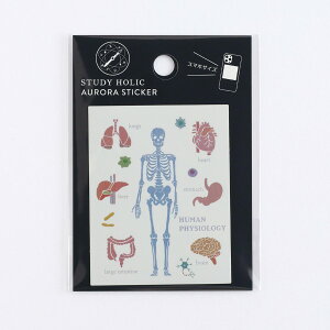 X^fBzbN STUDY HOLIC I[XebJ[ ST-357 [lސw] l HUMAN PHYSIOLOGY l  ] x S    W{ [ l̖͌^ w Aurora sticker ϐ ό X^fB[ O[tbV