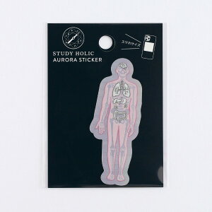 X^fBzbN STUDY HOLIC I[XebJ[ ST-358 [lސw/l] l HUMAN PHYSIOLOGY l̖͌^  ] x S    W{ [ w Aurora sticker ϐ ό X^fB[ O[tb