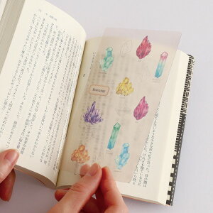 X^fBzbN STUDY HOLIC NAubN}[J[ ST-366 [zw] z  Mineralogy  r[ AWXg  ANA} NX^  Clear Bookmark ubN}[N X^fB[ O[