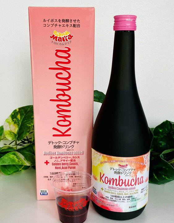 楽天市場】デトック・コンブチャ発酵ドリンク : ムンドラティーノ