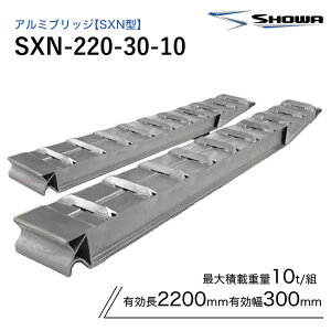 SXN-220-30-10 �A���~�u���b�W ���a 10�g��(10t) �c���� �S��2200/�L����300(mm) 2�{ �g
