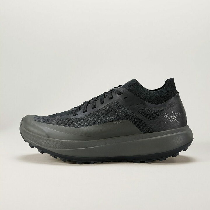 楽天市場】ARCTERYX アークテリクス L08104400SYLAN M シラン メンズ 