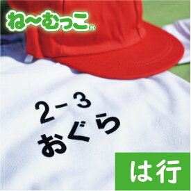 ゼッケン フロッキーネーム特大◆は行◆ 2枚入 お昼寝布団 名前【日本製】 ワッペン ひらがな 名前シール　ゼッケン 小学校 体操服