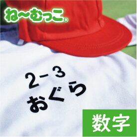 フロッキーネーム特大◆数字・ハイフン−も有ります◆ 2枚入 体操服に お昼寝布団に　アイロン クラス名　名前シール　ゼッケン