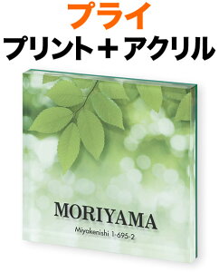 \D vCV[Y @\和p ˌ fW^vg ؘR AN -ubN Z\L150×150 17mm p - Z-t[c N₩ D ؂₩ g s