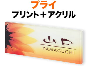 \D vCV[Y @\和p ˌ fW^vg +gFnOf[V-wi AN -uE 200×80 15mm {-܂ߋǵ^p-t[c GlMbV  G