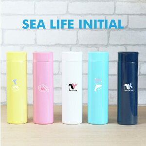  O  SeaLifeCjV{g v[g Mtg LO lC yM AUV CJ CjV  zCg  킢 }O{g sN av[