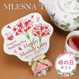 1000円ポッキリ ムレスナティー MLESNATEA【 紅茶セット 】 かわいい おしゃれ フレーバーティー スマイリングティー アールグレイ ティーバッグ 3包 メッセージカード ギフト プチギフト プレゼント お茶 紅茶 茶葉 送料無料 翌々営業日出荷【 名入れ不可 】