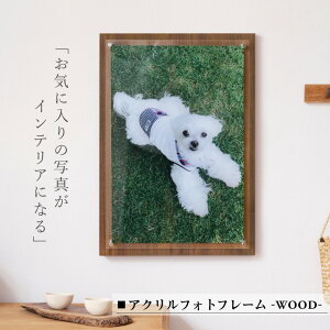 AN tHg vg y ANtHgt[-WOOD- zv[g  ʐ^ Ǌ| c  摜 Mtg ybg qǂ Ƒ c ؐ pl IWi  CeA 