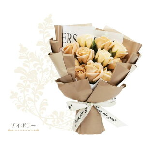 \[vt[ u[P Pi ݃J[ AeB[N ԑ y AeB[Nu[P ze a v[g  j  Mtg AeB[NJ[ V{ t[ ͂