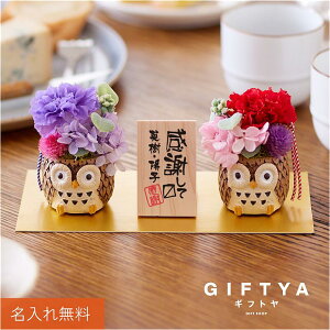 Ê  j  ӂ낤  vU[uht[ a y  ӂ낤 vU yA z җj  v[g 60 70 Mtg 킢 ͂Ȃ  CeA u c