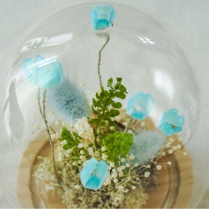 NX}X NX}Xv[g Mtg yLED t[AWgz vU[uht[ hCt[   AWg ͂Ȃ  CeA G