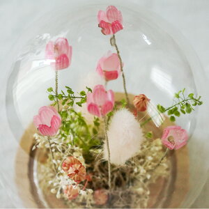 NX}X NX}Xv[g Mtg yLED t[AWgz vU[uht[ hCt[   AWg ͂Ȃ  CeA G