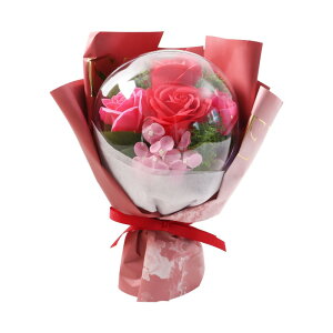 v[gy ANo[u[P z ꂳ }} Mtg u[P ~ju[P ͂Ȃ o[  j   a \ Əj LO j   