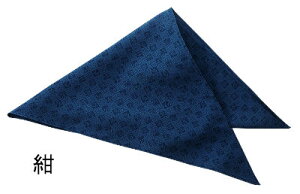 KA0020 Op t[h jtH[ ̑q 얱  T[rX F |GXe100 ƒ