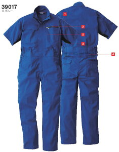 39017  Ka SOWA ƕ I[o[I[ ƒ ciM yЖhJz S`6L |GXe65E35 ebV